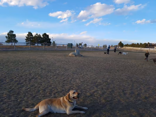 Douglas County Off-leash Area photo 1